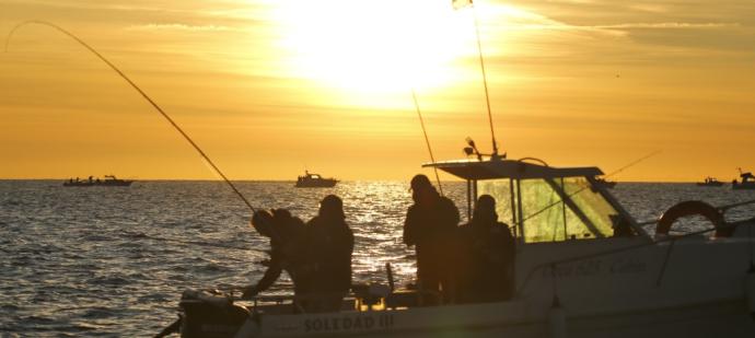 Pescadores deportivos de seis países participarán en el Open Internacional de Pesca “La Purísima” de Torrevieja