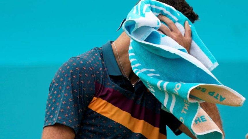 delpo DEL POTRO “VOY A VOLVER A JUGAR”