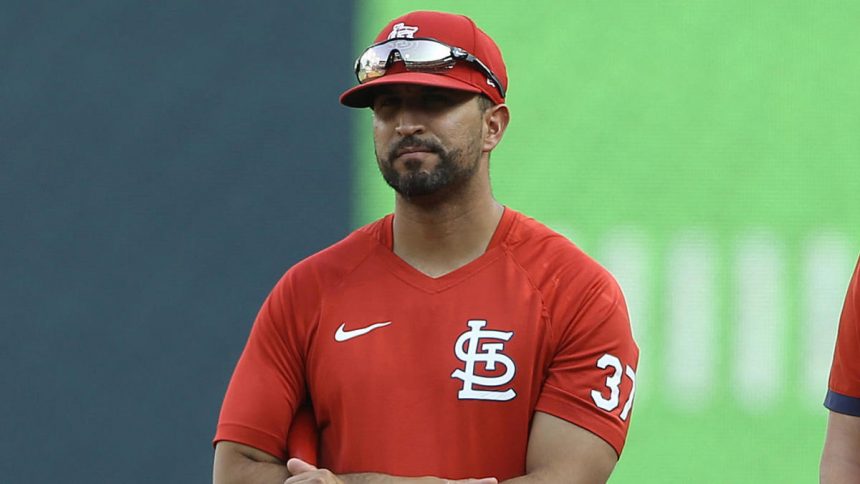Cardenales presentan al dominicano Oliver Mármol como manager